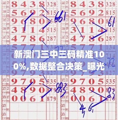 新澳門三中三碼精準(zhǔn)100%,數(shù)據(jù)整合決策_(dá)曝光版DPD2.18