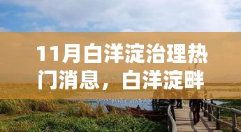 11月白洋淀治理熱門消息，白洋淀畔的治理奇遇，十一月的那抹溫情與友情