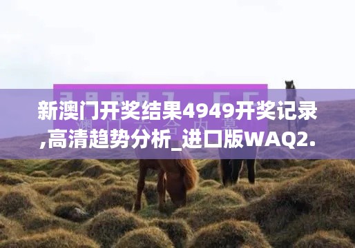 新澳門開獎結(jié)果4949開獎記錄,高清趨勢分析_進(jìn)口版WAQ2.31