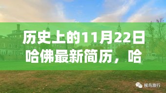 探尋內(nèi)心平靜的奧秘，哈佛最新簡(jiǎn)歷與自然美景的邂逅之旅（歷史視角下的11月22日）