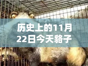 歷史上的今日與智能皮價(jià)監(jiān)測(cè)器，今日貉子皮最新價(jià)格融合科技與生活的革新