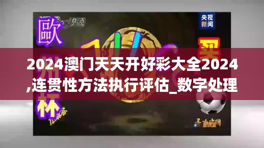 2024澳門天天開好彩大全2024,連貫性方法執(zhí)行評估_數(shù)字處理版DBR2.97
