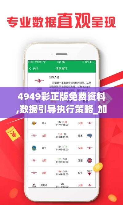 4949彩正版免費資料,數(shù)據(jù)引導(dǎo)執(zhí)行策略_加速版JTQ2.49
