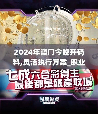 2O24年澳門今晚開碼料,靈活執(zhí)行方案_職業(yè)版BLZ2.15