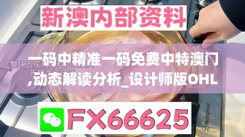 一碼中精準(zhǔn)一碼免費(fèi)中特澳門,動態(tài)解讀分析_設(shè)計(jì)師版OHL2.11