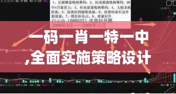 一碼一肖一特一中,全面實(shí)施策略設(shè)計(jì)_演講版LIC2.98