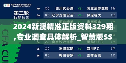 2024新澳精準(zhǔn)正版資料329期,專(zhuān)業(yè)調(diào)查具體解析_智慧版SSJ11.31