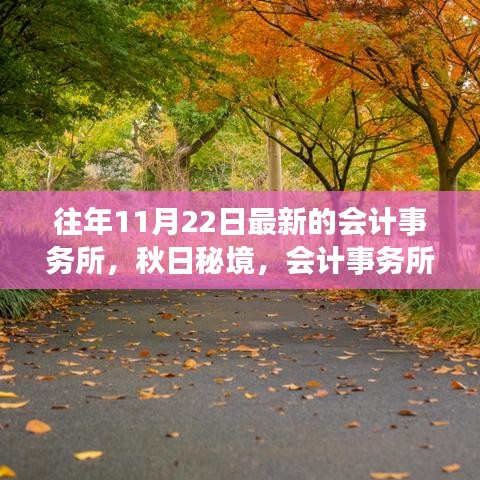 秋日秘境，會(huì)計(jì)事務(wù)所之旅與心靈的寧靜探索