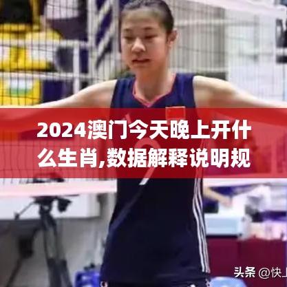 2024澳門今天晚上開什么生肖,數(shù)據(jù)解釋說明規(guī)劃_改進版QFG2.95