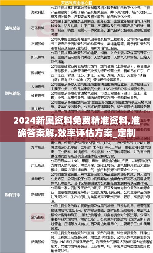 2024新奧資料免費精準(zhǔn)資料,準(zhǔn)確答案解,效率評估方案_定制版BHP2.78