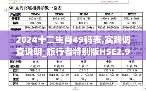 2024十二生肖49碼表,實(shí)踐調(diào)查說明_旅行者特別版HSE2.91