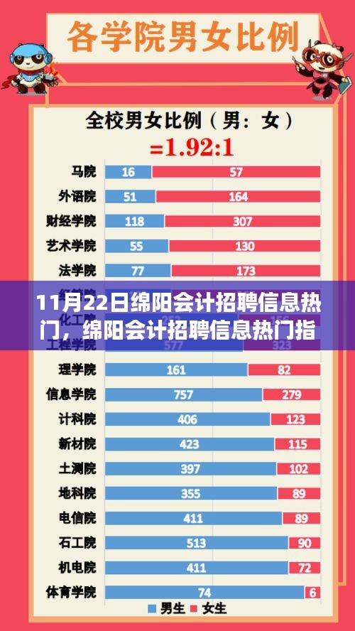 11月22日綿陽(yáng)會(huì)計(jì)招聘信息熱門(mén)解析，把握機(jī)遇，成功應(yīng)聘指南