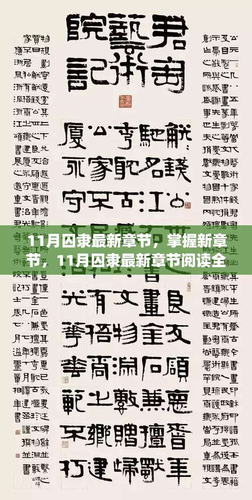 11月囚隸最新章節(jié)全攻略，掌握新章節(jié)閱讀