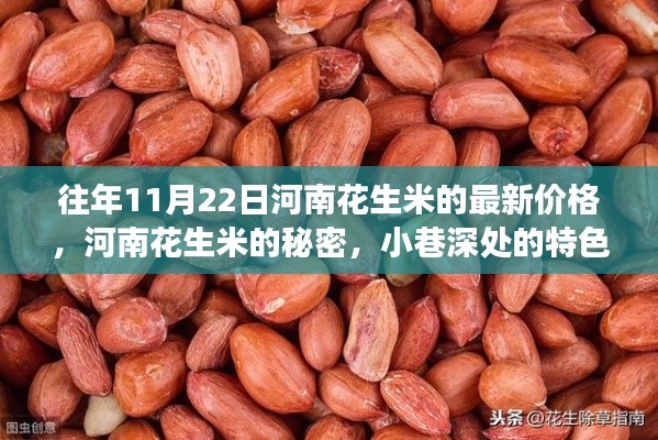 河南花生米價(jià)格揭秘，特色小店與驚喜價(jià)格之旅