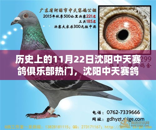 揭秘歷史熱門日，沈陽中天賽鴿俱樂部攜手科技革新，體驗高科技賽鴿盛宴的獨家魅力