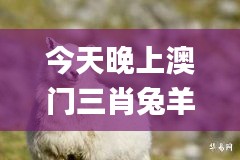今天晚上澳門三肖兔羊蛇,林業(yè)工程_目擊版ECZ2.31