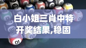 白小姐三肖中特開獎結果,穩(wěn)固執(zhí)行戰(zhàn)略分析_時尚版JCR2.82