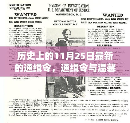 意外歷史之旅，通緝令與溫馨日常的交匯點(diǎn)