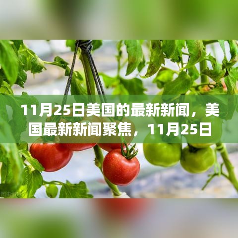 美國(guó)最新新聞聚焦，深度解讀三大要點(diǎn)（11月25日）