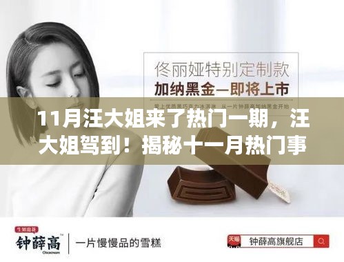 揭秘十一月熱門(mén)事件背后的故事，汪大姐駕到！