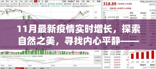 疫情下的心靈探索之旅，自然之美與內(nèi)心平靜的追尋