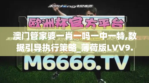 澳門管家婆一肖一嗎一中一特,數(shù)據(jù)引導(dǎo)執(zhí)行策略_薄荷版LVV9.46