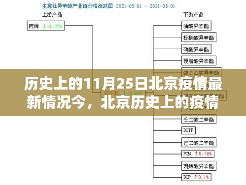 北京疫情回顧，聚焦歷史上的11月25日疫情最新情況