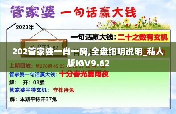 202管家婆一肖一碼,全盤細(xì)明說明_私人版IGV9.62