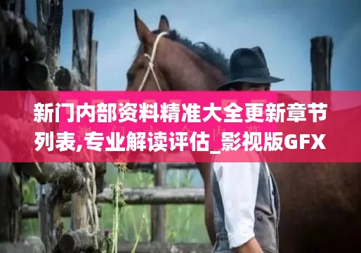 新門內(nèi)部資料精準(zhǔn)大全更新章節(jié)列表,專業(yè)解讀評(píng)估_影視版GFX9.13