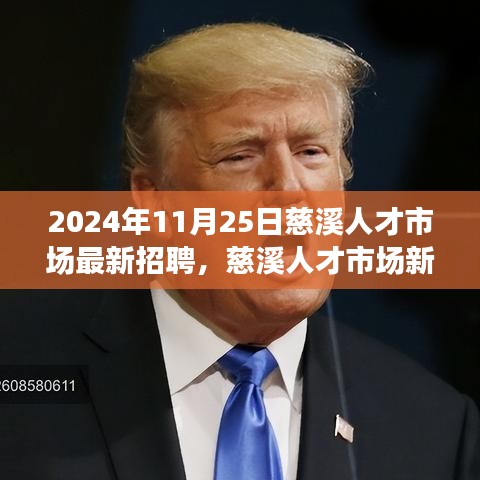 慈溪人才市場最新招聘，探尋內心寧靜與力量的新篇章（2024年11月25日）