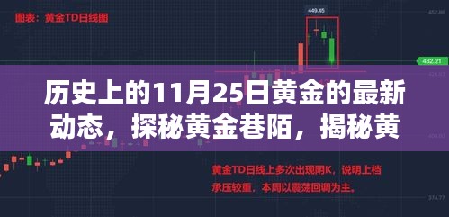 探秘黃金巷陌，黃金動(dòng)態(tài)揭秘與小巷寶藏店的新發(fā)現(xiàn)