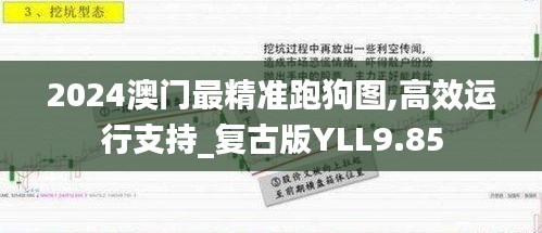 2024澳門最精準(zhǔn)跑狗圖,高效運(yùn)行支持_復(fù)古版YLL9.85