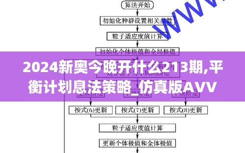 2024新奧今晚開(kāi)什么213期,平衡計(jì)劃息法策略_仿真版AVV9.2