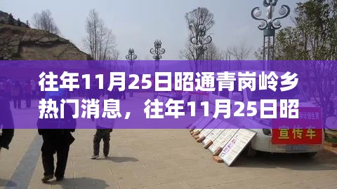 往年11月25日昭通青崗嶺鄉(xiāng)熱門消息深度解析，特性、體驗(yàn)、競(jìng)品對(duì)比與用戶洞察