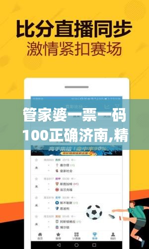管家婆一票一碼100正確濟南,精細(xì)評估方案_先鋒實踐版EIO9.85