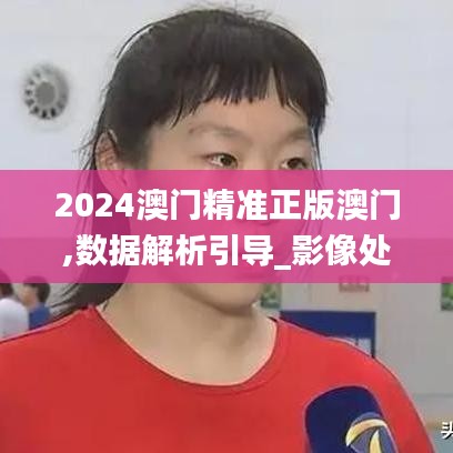 2024澳門精準正版澳門,數(shù)據(jù)解析引導_影像處理版FZG9.92