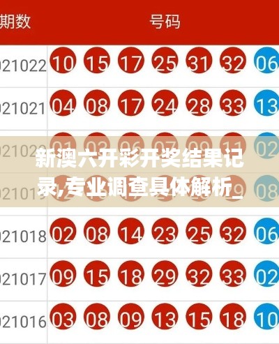 新澳六開彩開獎結果記錄,專業(yè)調查具體解析_高速版XES9.4