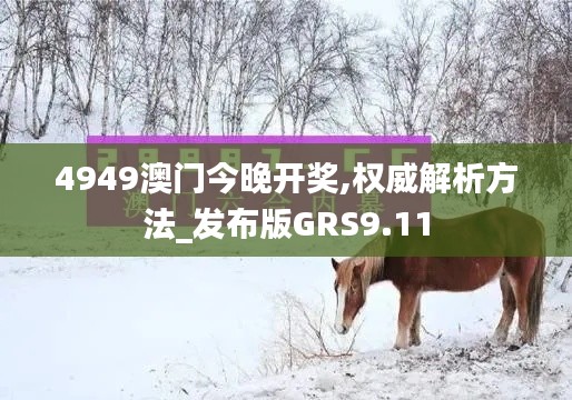 4949澳門今晚開獎,權(quán)威解析方法_發(fā)布版GRS9.11