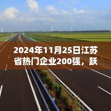 江蘇省企業(yè)巔峰榜，勵(lì)志故事與變化成就榮耀之路（2024年江蘇省熱門企業(yè)200強(qiáng)）