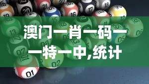 澳門一肖一碼一一特一中,統(tǒng)計材料解釋設(shè)想_游戲版SPC9.57