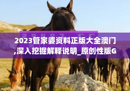 2023管家婆資料正版大全澳門(mén),深入挖掘解釋說(shuō)明_原創(chuàng)性版GOS9.41