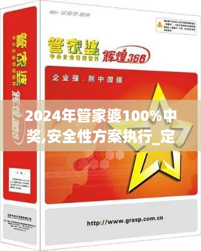 2024年管家婆100%中獎(jiǎng),安全性方案執(zhí)行_定向版MPZ9.96
