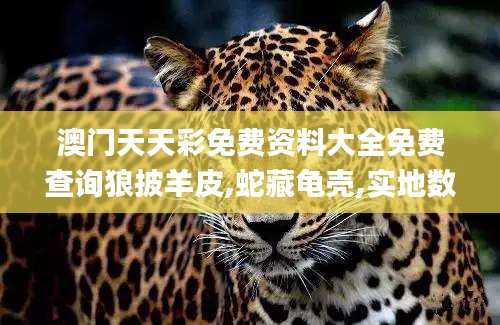 澳門天天彩免費(fèi)資料大全免費(fèi)查詢狼披羊皮,蛇藏龜殼,實(shí)地?cái)?shù)據(jù)驗(yàn)證_多功能版WEN9.78