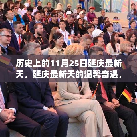 延慶最新天的溫馨奇遇，友誼與陪伴的故事，歷史上的這一天回顧