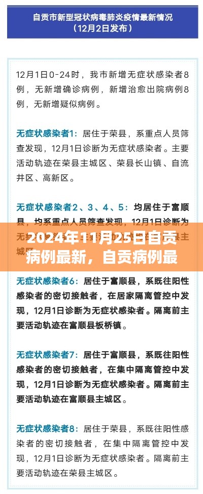 2024年11月25日自貢病例最新情況詳解，全方位了解與應(yīng)對(duì)步驟