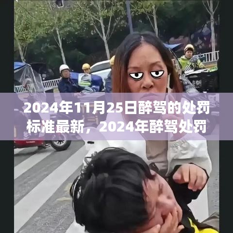 2024年醉駕處罰標(biāo)準(zhǔn)詳解，酒后駕駛行為的法律嚴(yán)懲