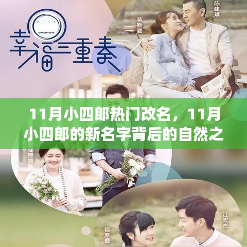 11月小四郎的新名字之旅，自然探索與心靈冒險(xiǎn)的交融