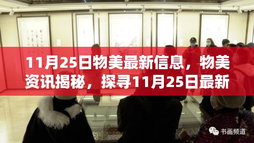 11月25日物美最新動(dòng)態(tài)揭秘，探尋最新資訊