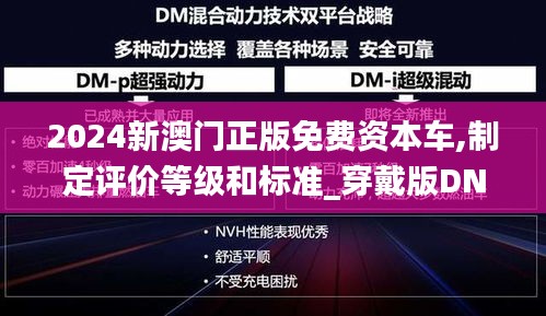 2024新澳門(mén)正版免費(fèi)資本車,制定評(píng)價(jià)等級(jí)和標(biāo)準(zhǔn)_穿戴版DNC9.86