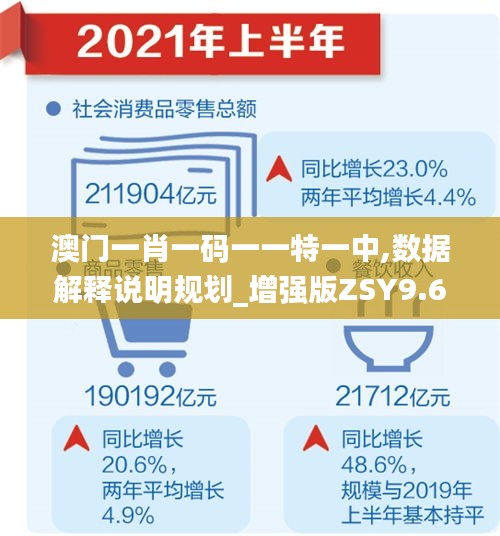 澳門一肖一碼一一特一中,數(shù)據(jù)解釋說明規(guī)劃_增強版ZSY9.65